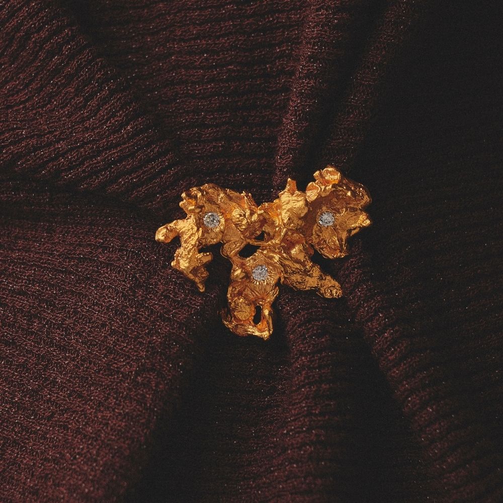 Broche Cauce