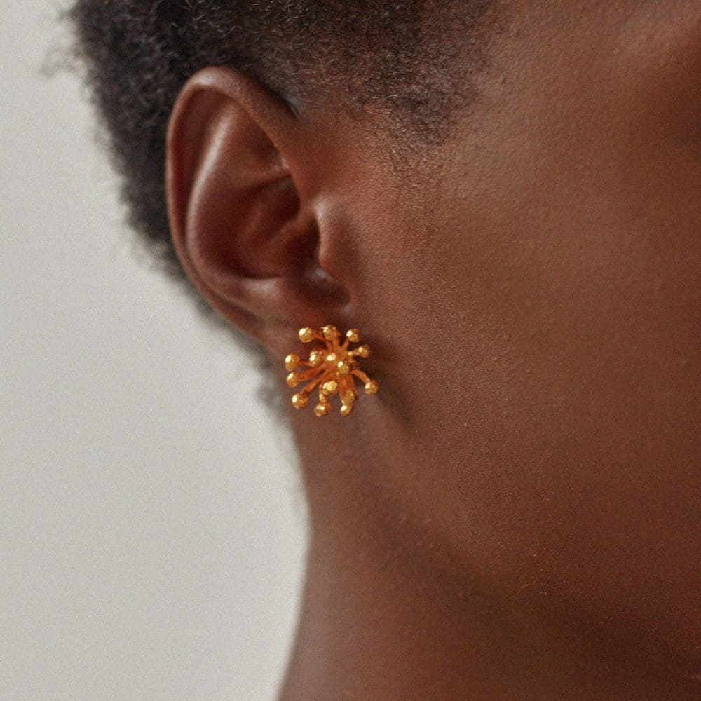 Aretes Dalia Embutidos